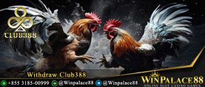 Withdraw Club388